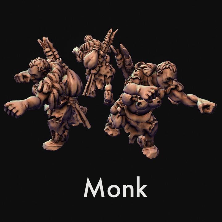 Monk, fighter