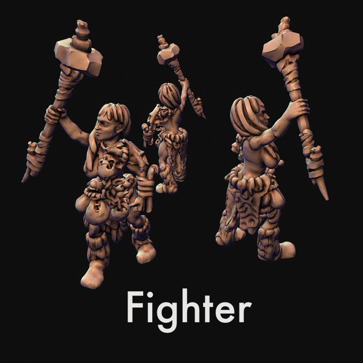Fighter, paladin image