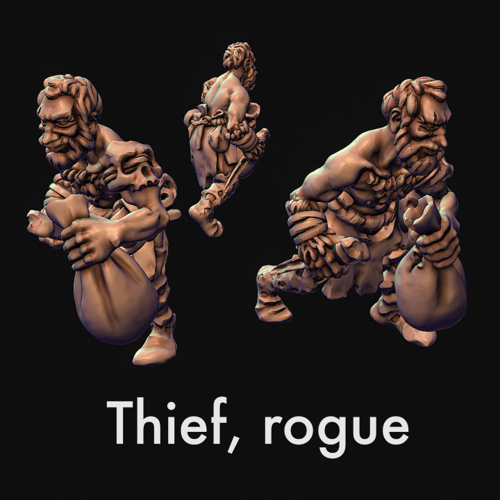 Thief, fighter, rogue image