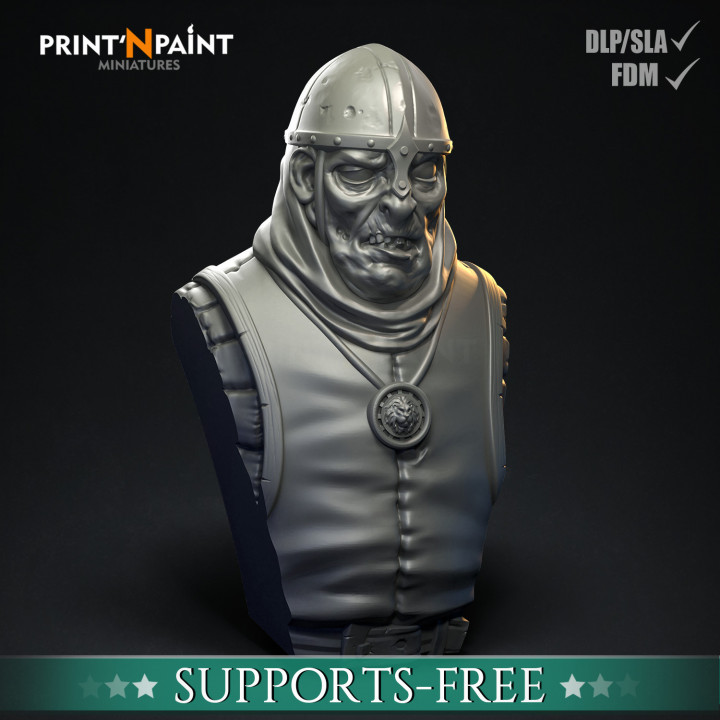 Rotten Soldier Bust image