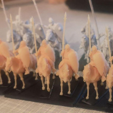 Picture of print of 12th century Military Order knights 15mm version