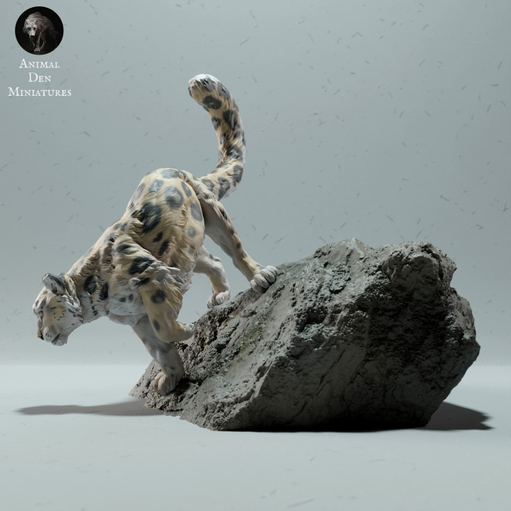 Snow Leopard on a Boulder image