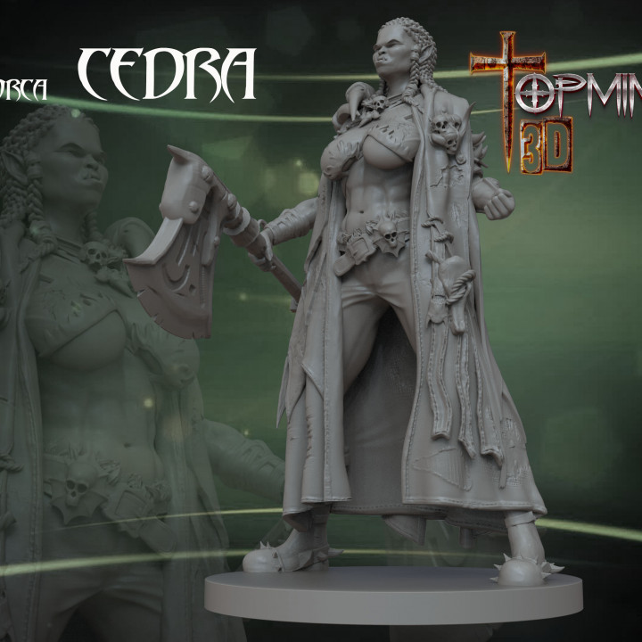 ORCA PARA JUEGOS DE ROL TABLETOP rpg