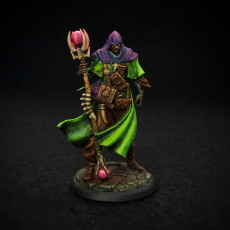Picture of print of Shadow Wanderer, Human Warlock