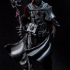 Shadow Wanderer, Human Warlock print image