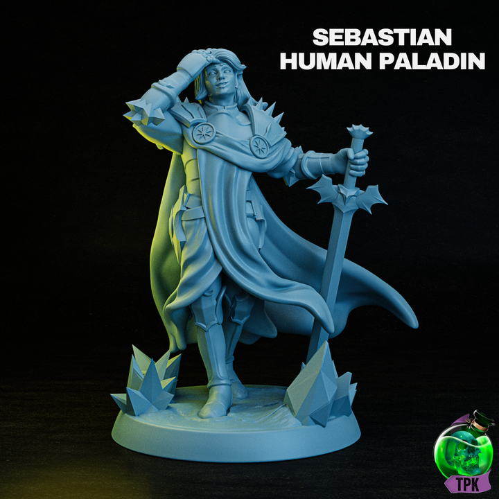 Sebastian Human Paladin