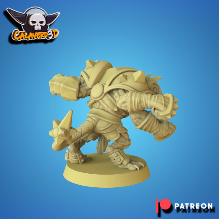 Rat Starplayer Nº14