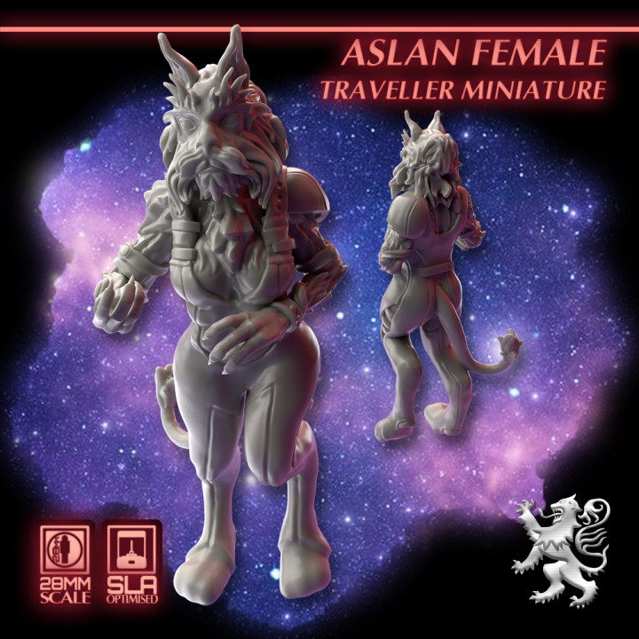 Aslan Female Traveller Miniature