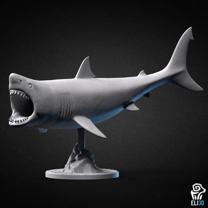 Shark Bundle - Animals image