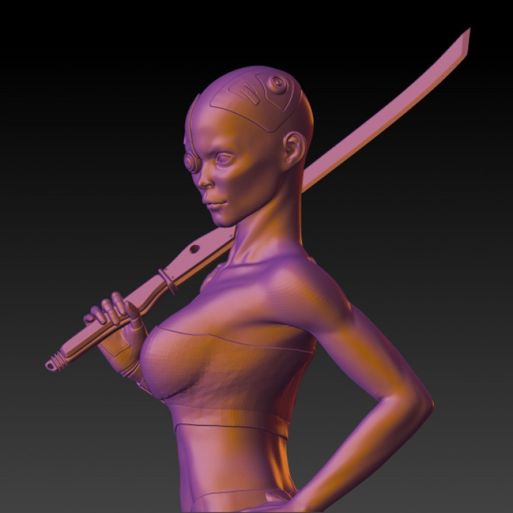 female cyberpunk warrior - Rpg image