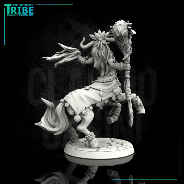 (0113) Female centaur wizard sorceror druid with spell