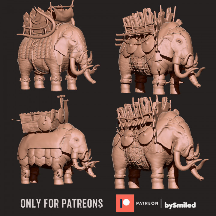 3lab5 elephant print