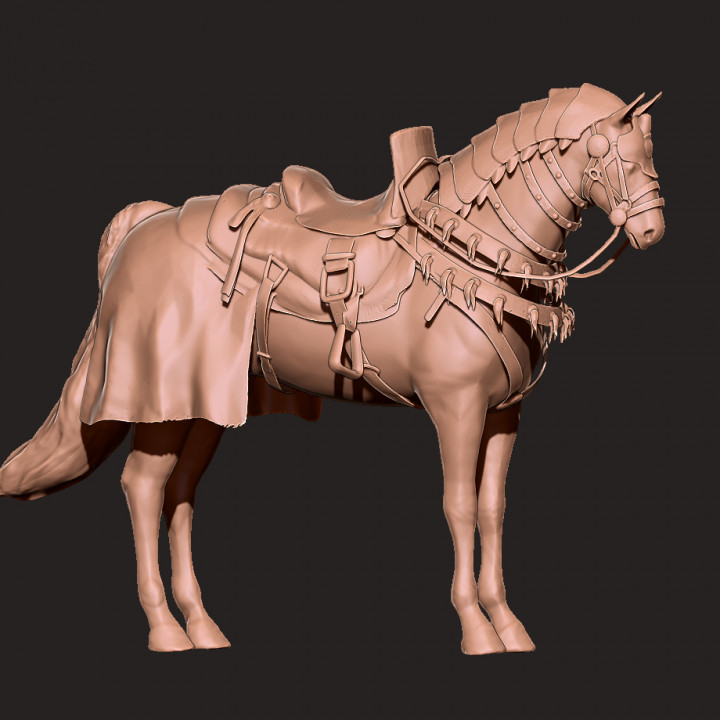 Horse in armor image