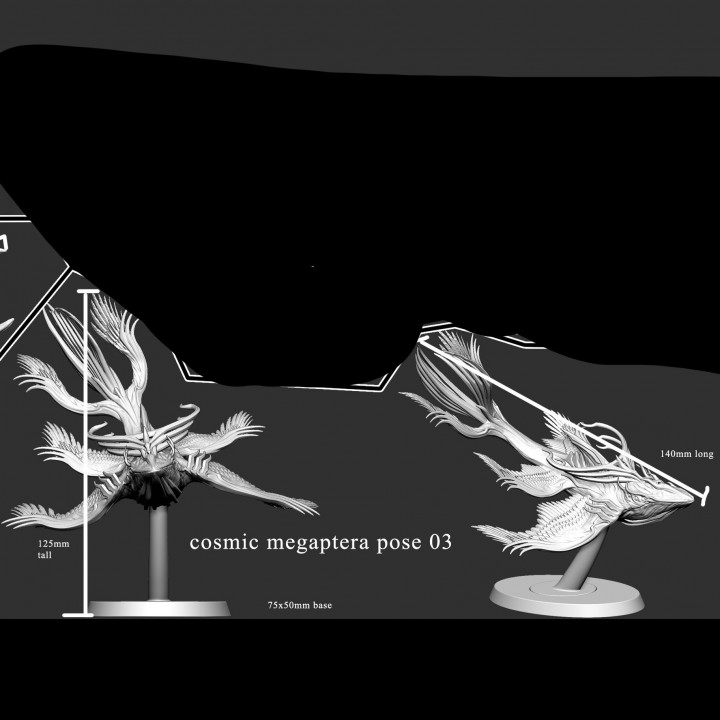 Cosmic Megaptera ( variation 3 of 4) image