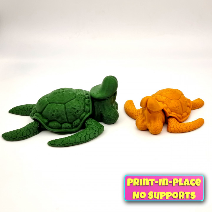 Dicky Turtle Articulated Print-In_Place image