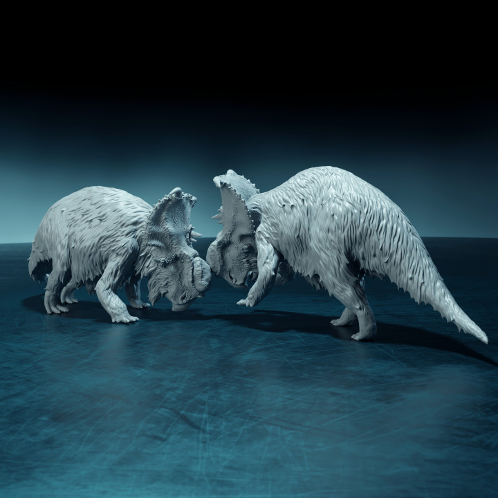 Pachyrhinosaurus duel 1-35 scale pre-supported dinosaur fight