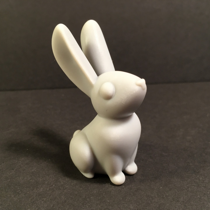Little rabbit image