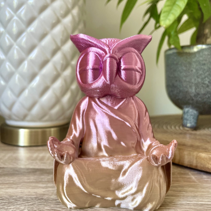 Buddha Owl image