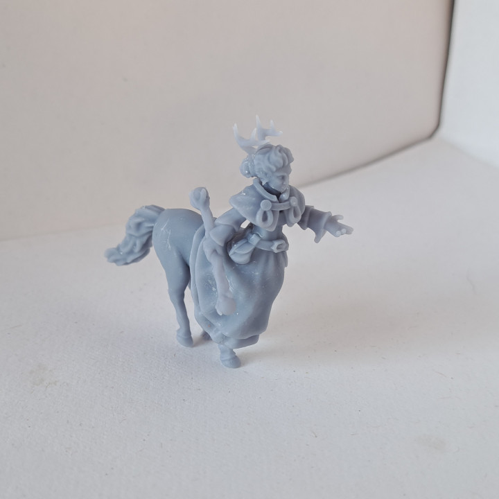 Centaur Wizard Miniature (32mm, modular)