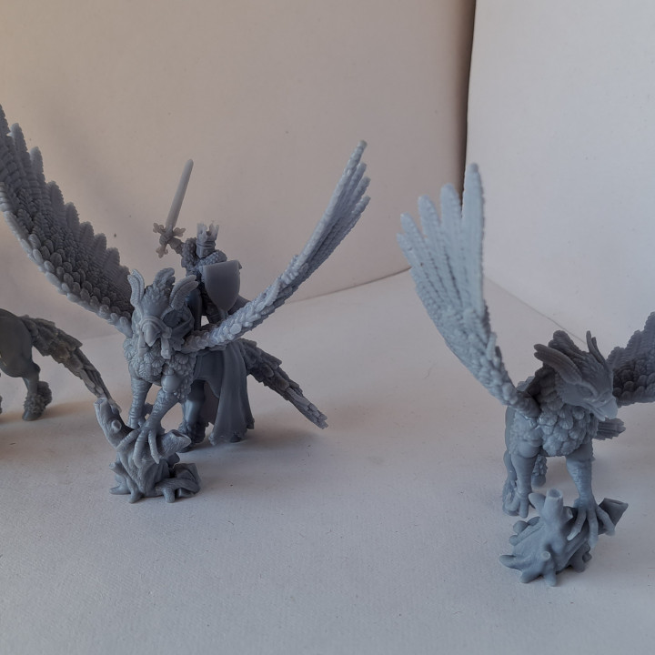 Hippogriff and King Miniatures (32mm, modular)