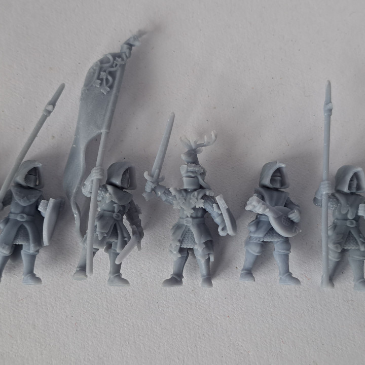 Knight of the Forest Miniatures (32mm, modular) image