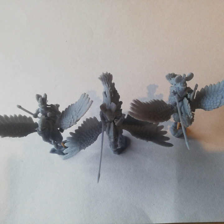 Pegasus Knights miniatures (32mm, modular) image