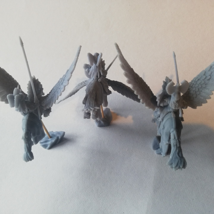 Pegasus Knights miniatures (32mm, modular)