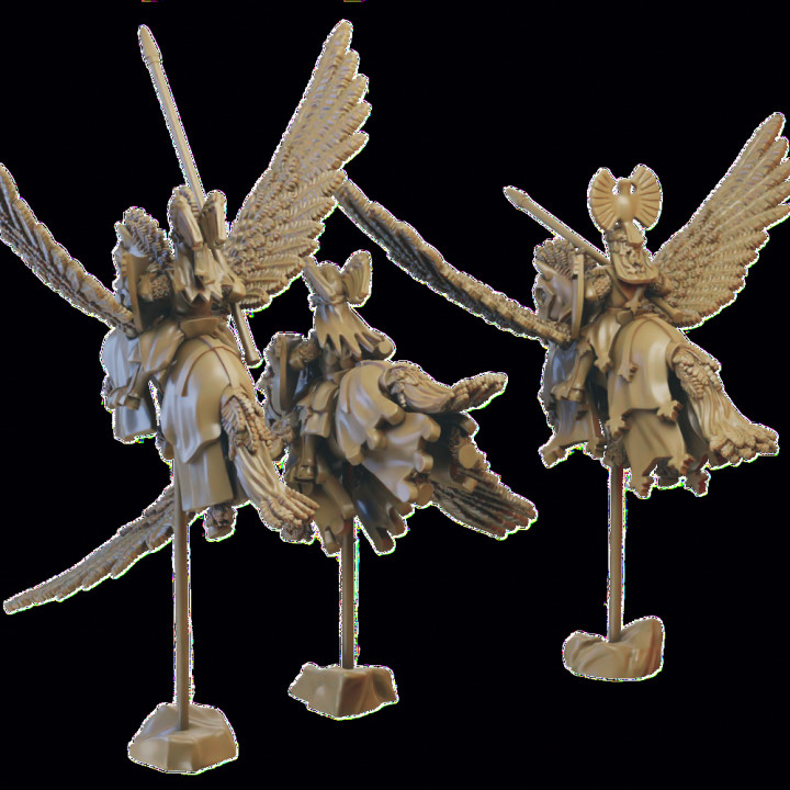 Pegasus Knights miniatures (32mm, modular) image