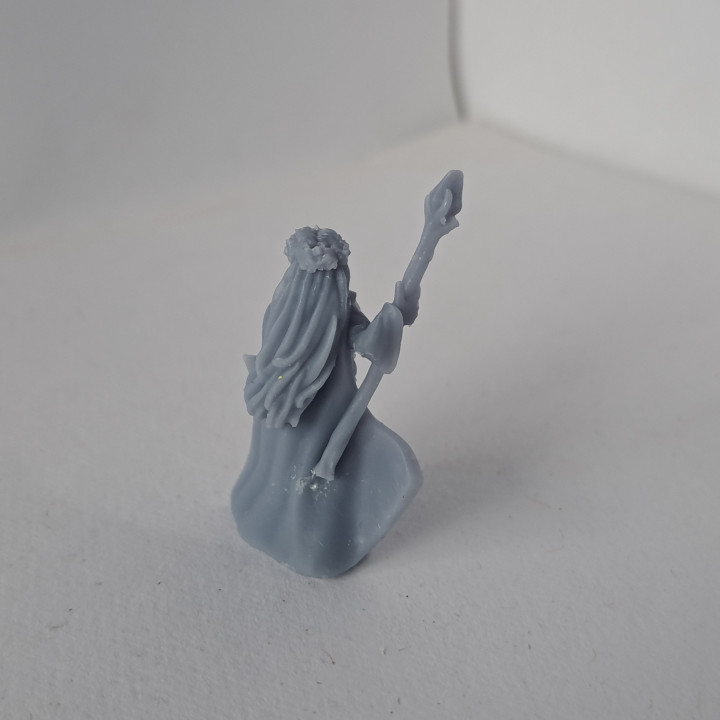 Prophetess Miniature (32mm) image
