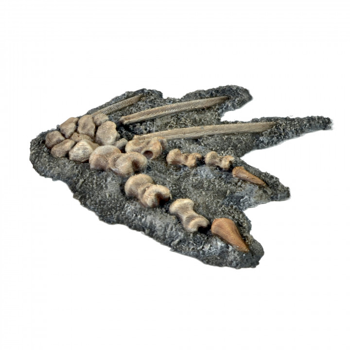 Wing/hand Dragon Bones image