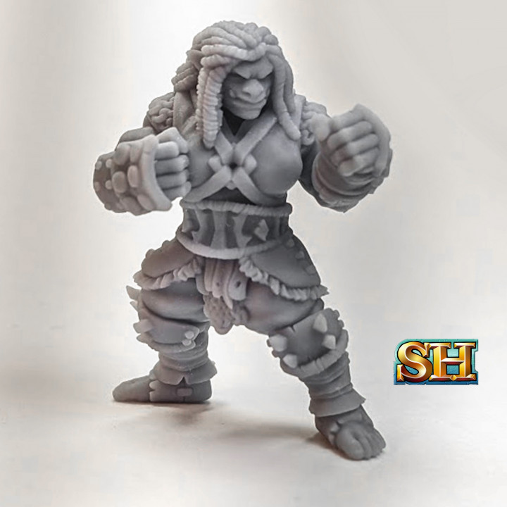 Half-Orc Brawler image