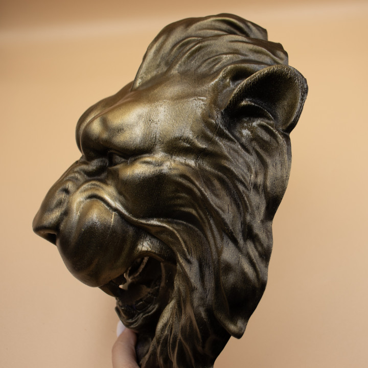 Lion Face Wall Art image