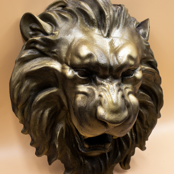 Lion Face Wall Art image