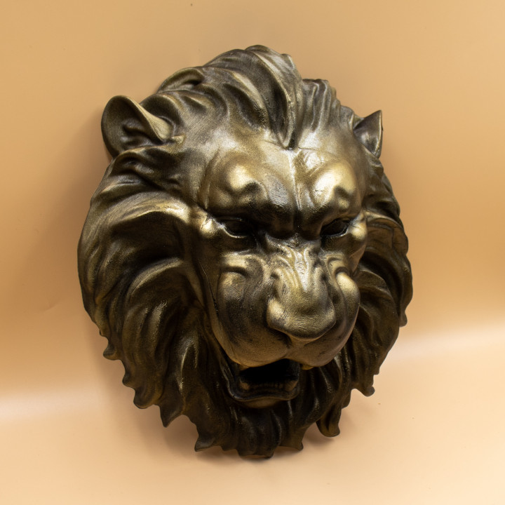 Lion Face Wall Art image