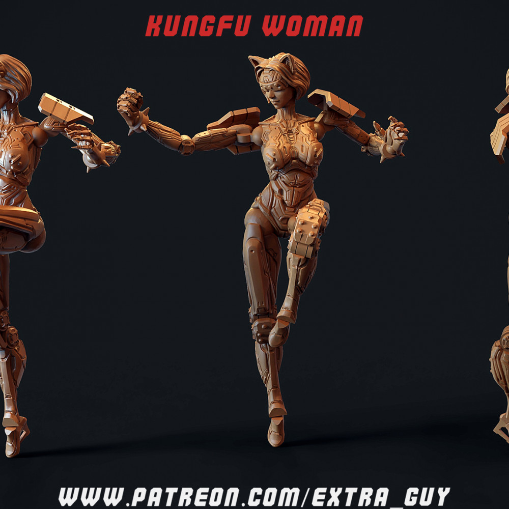 ポスター DEADLY KUNG-FU GIRL Silk Screen Print DEADLY KUNG-FU GIRL