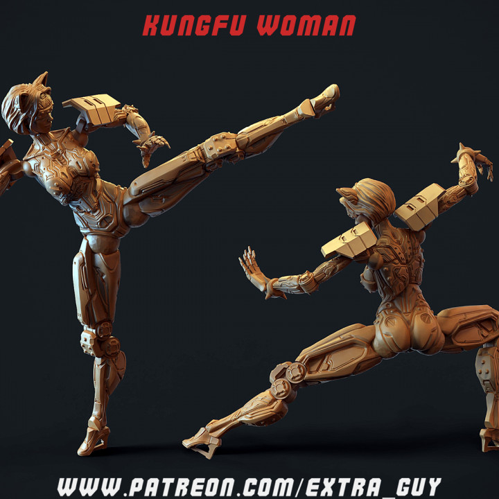 3D Printable cyberpunk kungfu girl 3D Print over 180 mm by