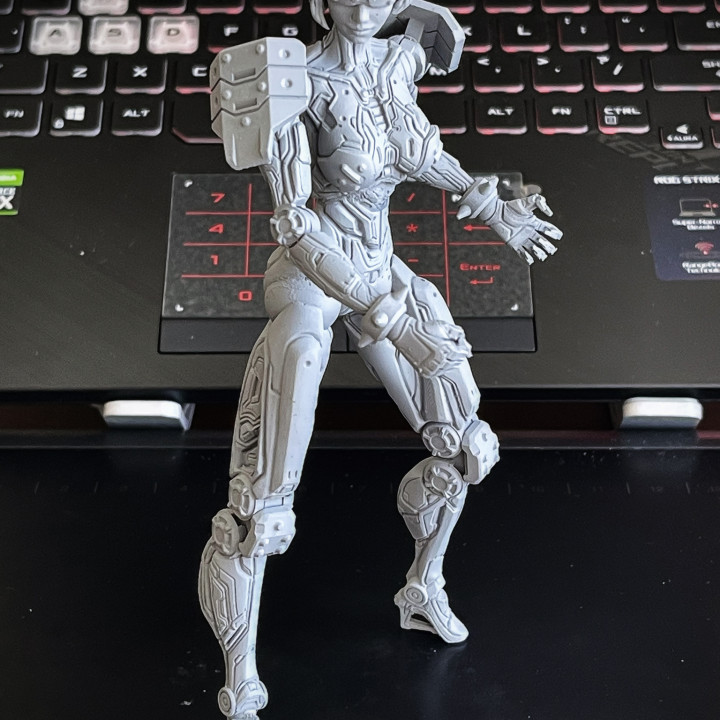 3D Printable cyberpunk kungfu girl 3D Print over 180 mm by Extra Guy