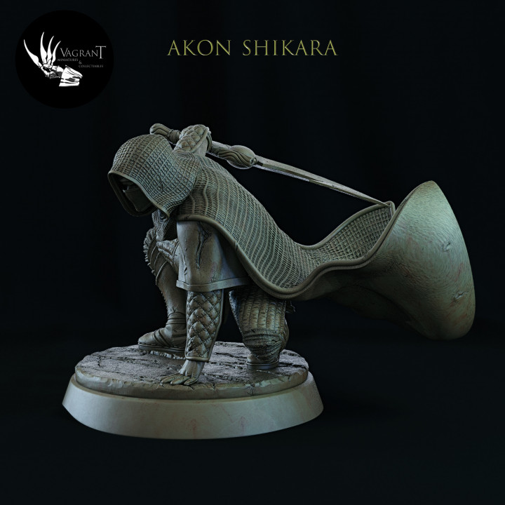 Akon Shikara image