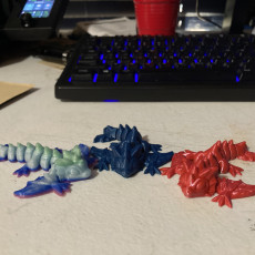 Picture of print of Tiny Wyvern