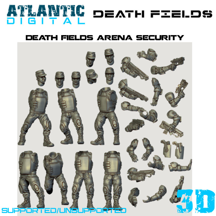 Death Fields Arena Security image