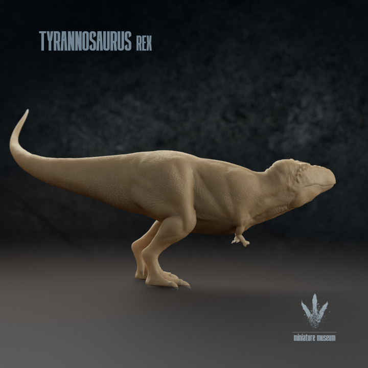 Tyrannosaurus rex : The Tyrant Lizard King image