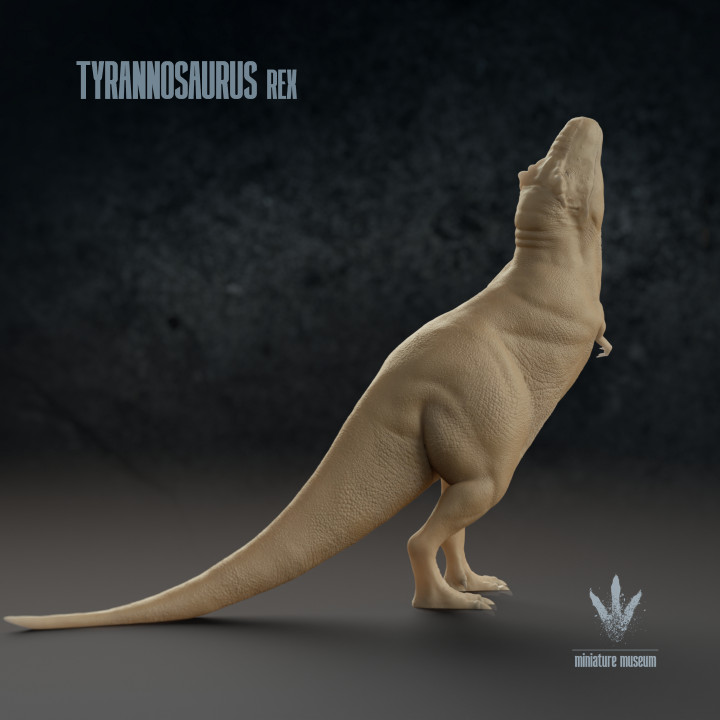 Tyrannosaurus Rex : Mating Display image