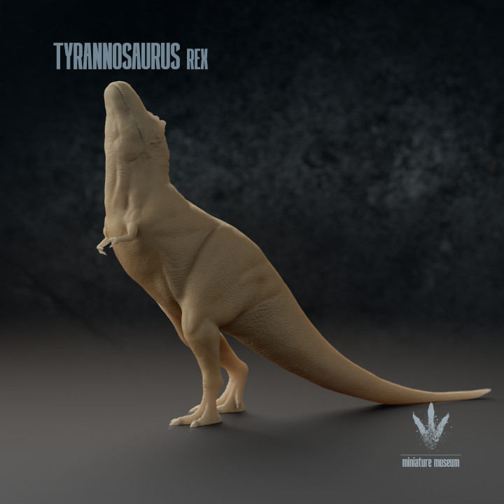 Tyrannosaurus Rex : Mating Display image