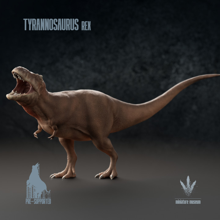 Tyrannosaurus Rex : ROAR image
