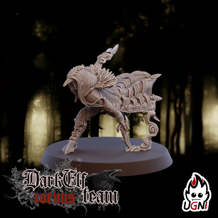Assassin #2 - Dark Elves Team