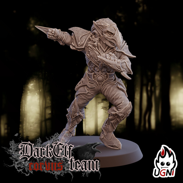 Blitzer #1 - Dark Elves Team