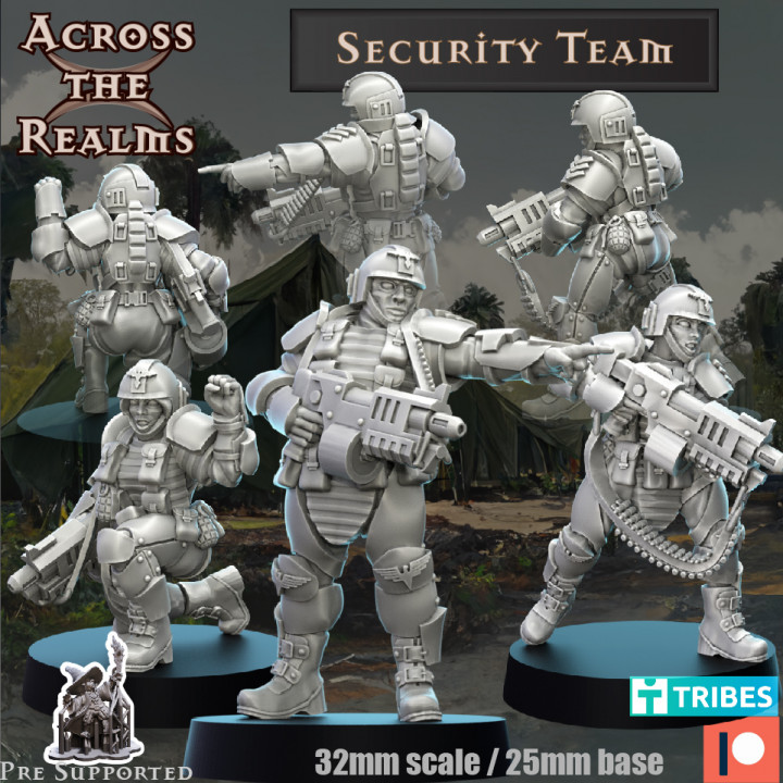 Security Team image