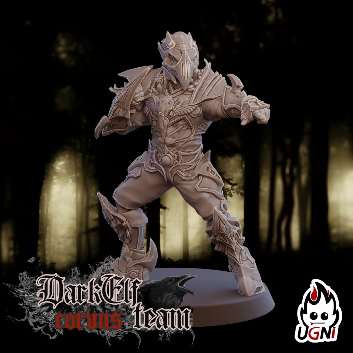 Blitzer #2 - Dark Elves Team