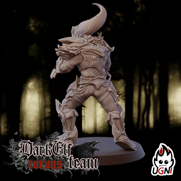 Blitzer #3 - Dark Elves Team image