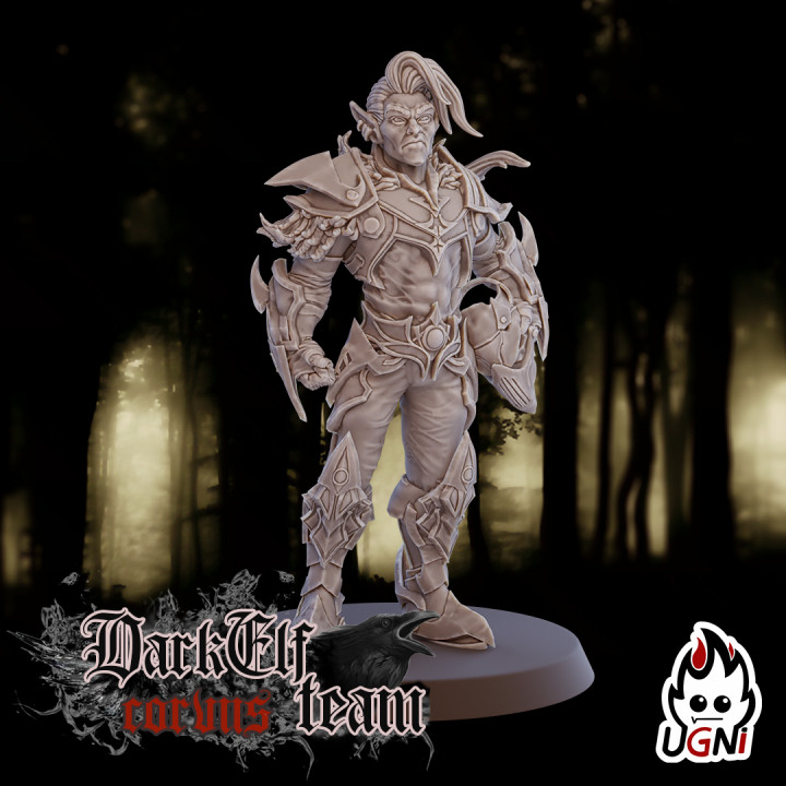 Blitzer #4 - Dark Elves Team